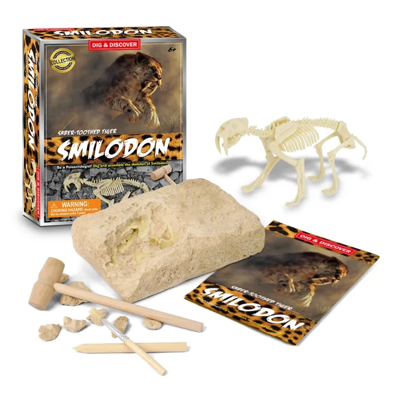Dinosaur Toys Dino Toy Dinosaurs Fossil Prehistoric SMILODON SABER-TOOTH TIGER Bones Excavation Prehistoric animal Dig up Dino Best selling toy 2024 DIY Learning Educational STEM Science Kit Toy for Kids Gift