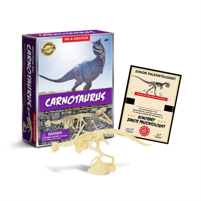 Dinosaur Toys Dino Toy Dinosaurs Fossil CARNOTAURUS Bones Excavation Prehistoric animal Dig up Dino Best selling toy 2024 DIY Learning Educational STEM Science Kit Toy for Kids Gift